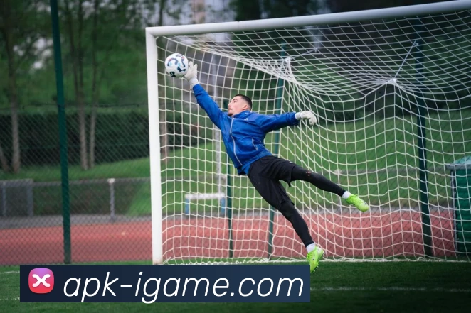 爱游戏APP 封面图